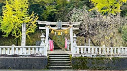 瀬織津姫神社