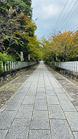 京都向日神社